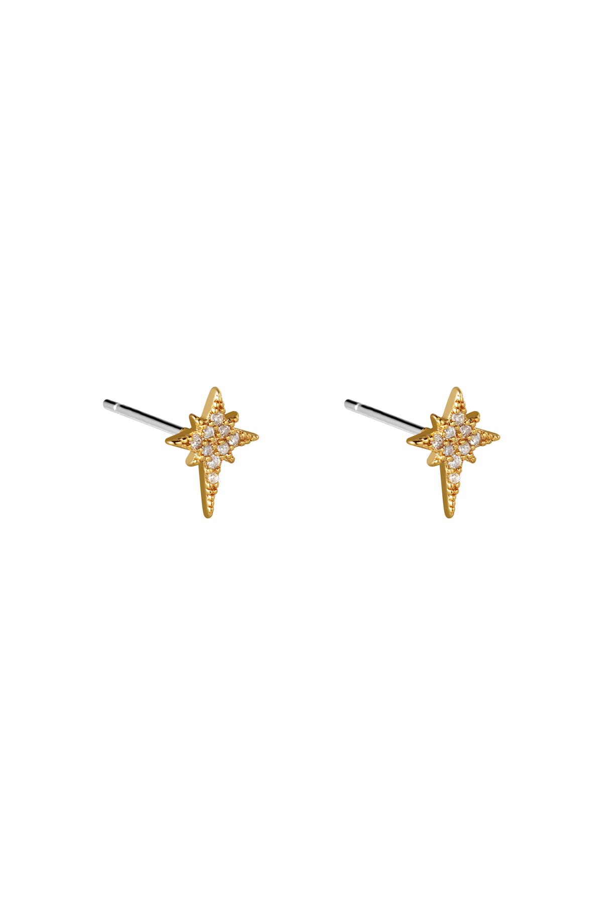 Earrings Starred