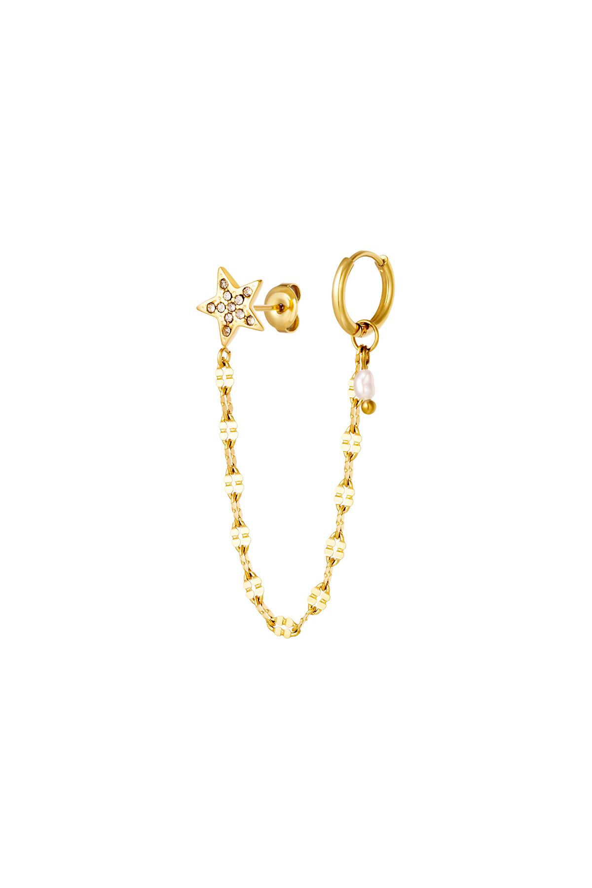 Stainless steel earrings with chain