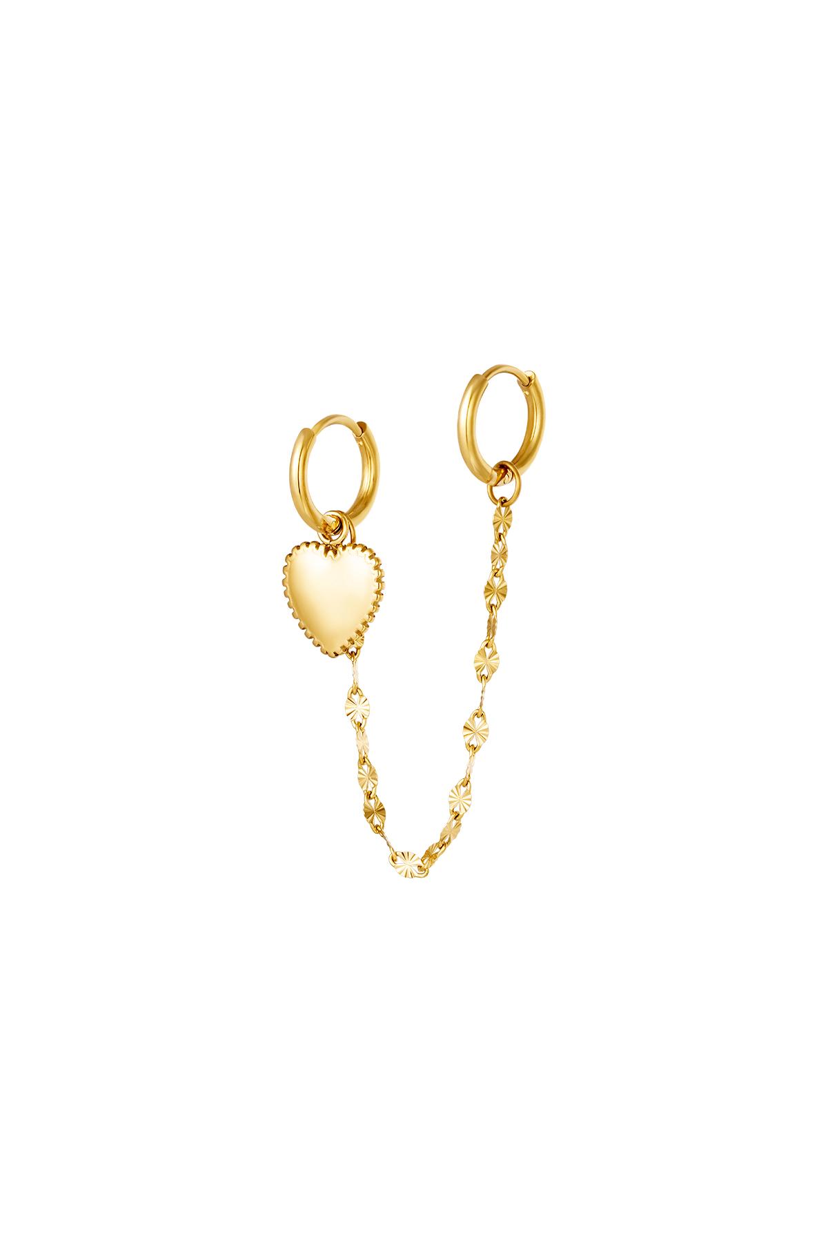 Stainless steel earrings